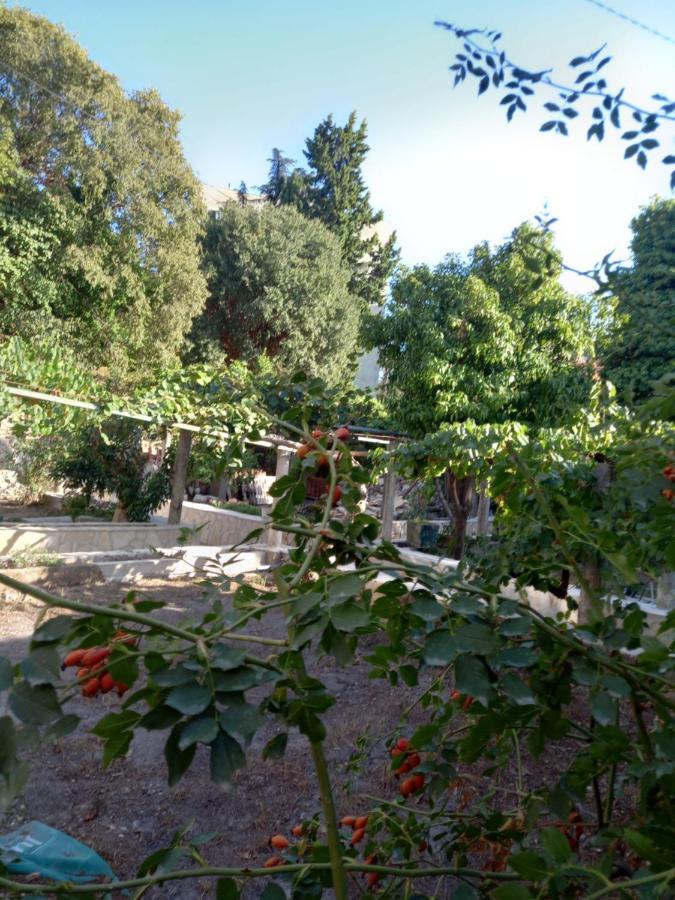 Stone Oasis Vito Leilighet Dubrovnik Eksteriør bilde